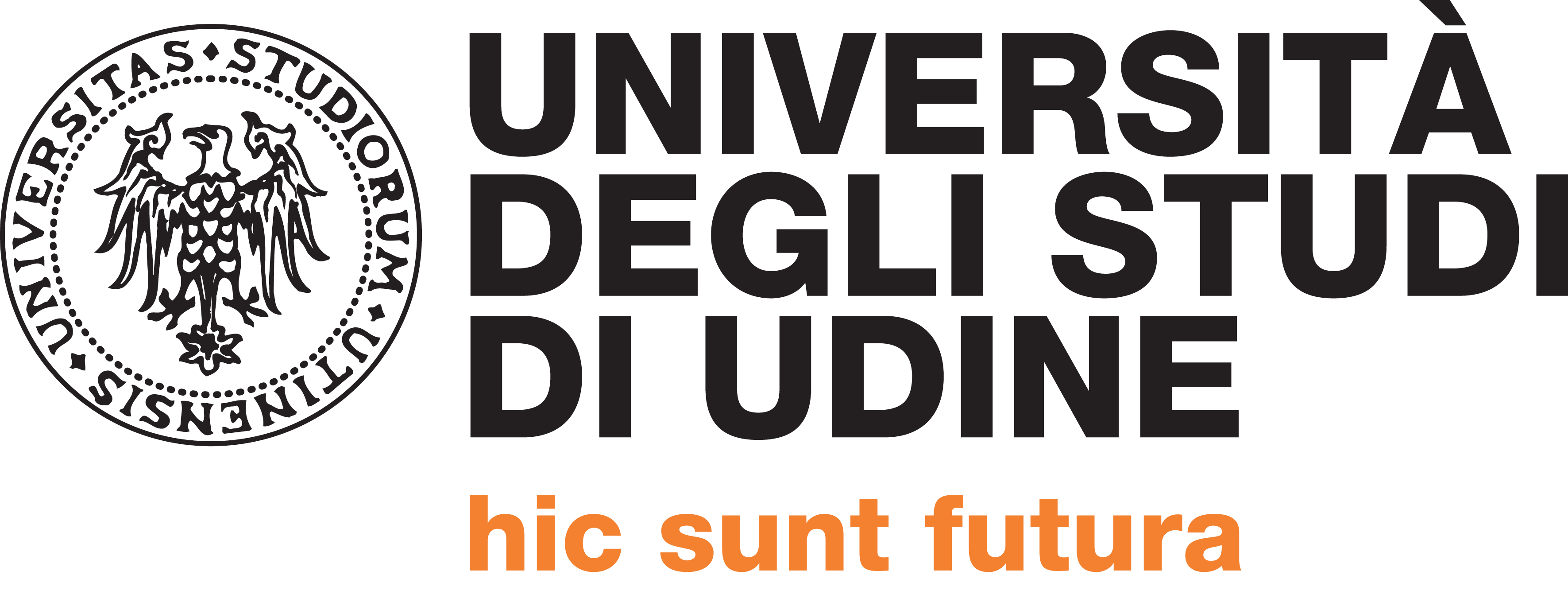 Universit� di Udine